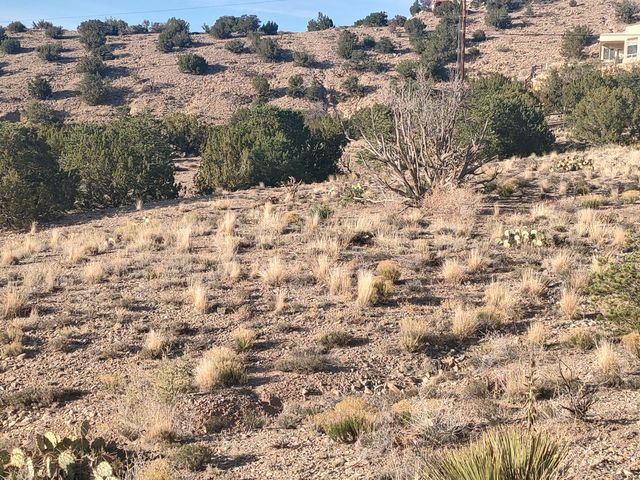 Las Brisas Loop, Placitas, NM 87043