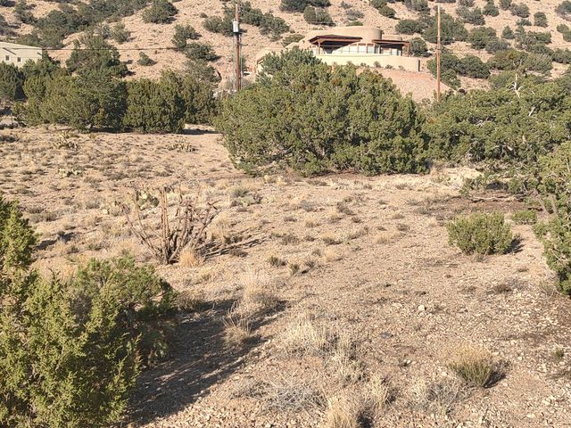 Las Brisas Loop, Placitas, NM 87043