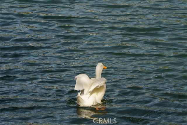 35109 Highway 79 254, Warner Springs, CA 92086