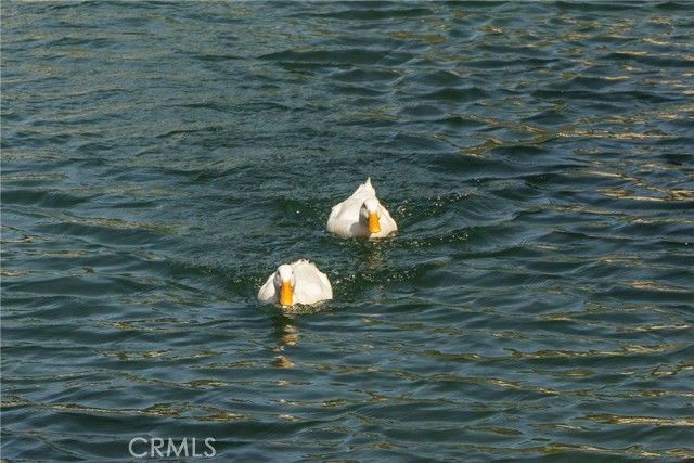 35109 Highway 79 254, Warner Springs, CA 92086