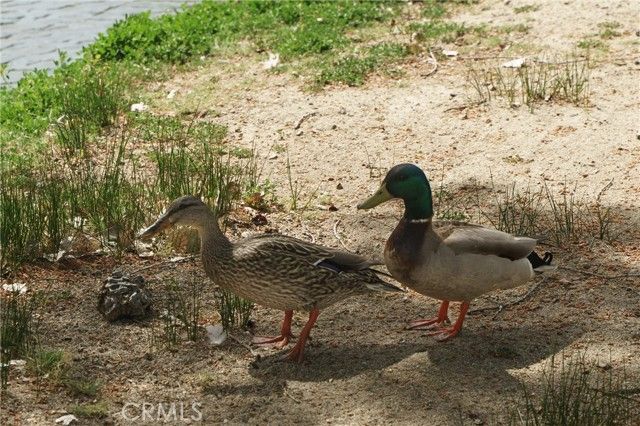 35109 Highway 79 254, Warner Springs, CA 92086