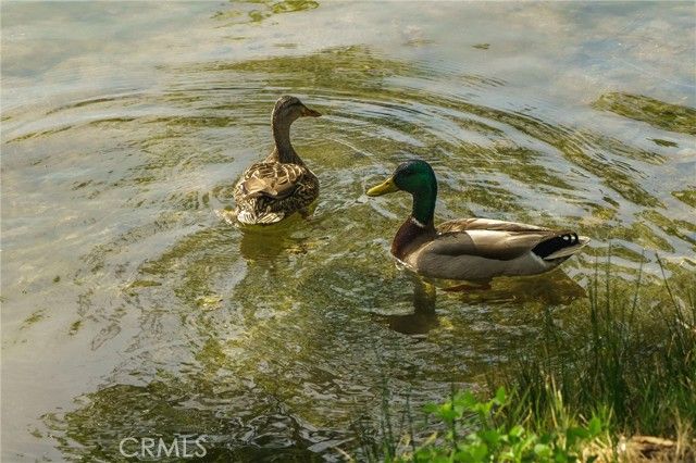 35109 Highway 79 254, Warner Springs, CA 92086