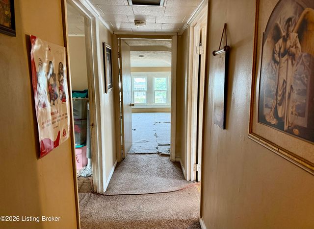 631 S 43rd St, Louisville, KY 40211