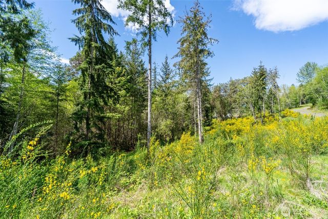 890 E Anchor View Lane, Shelton, WA 98584