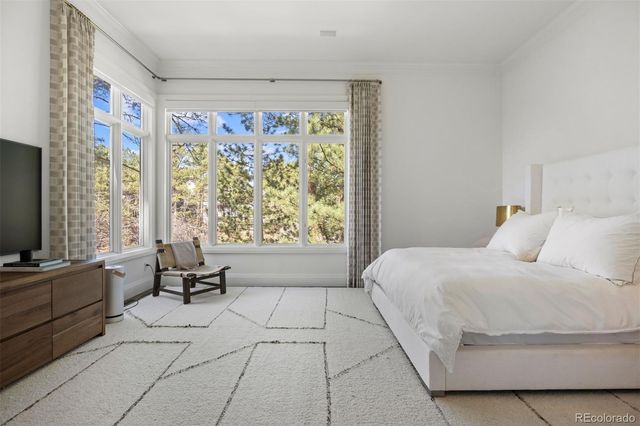 4511 Silver Cliff Court, Castle Rock, CO 80108