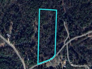 9 +/- Anthony Lane, Pineville, MO 64856
