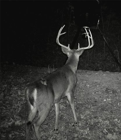 39649 Highway 23, Huntsville, AR 72740