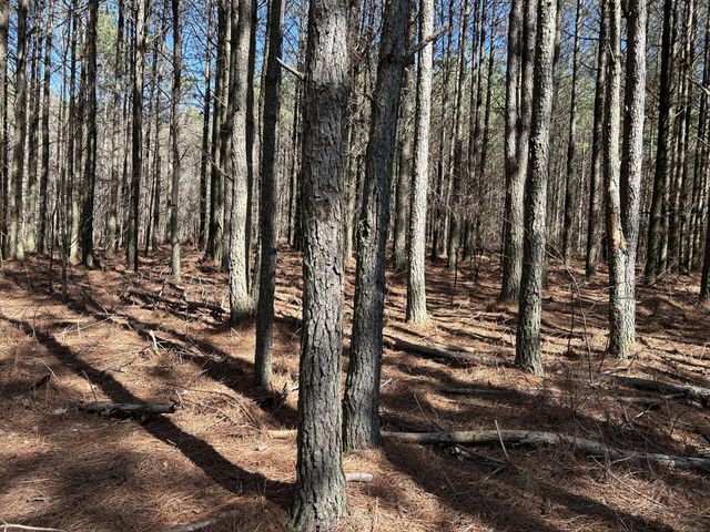 4210 Raulston Fls Road, Jasper, TN 37347
