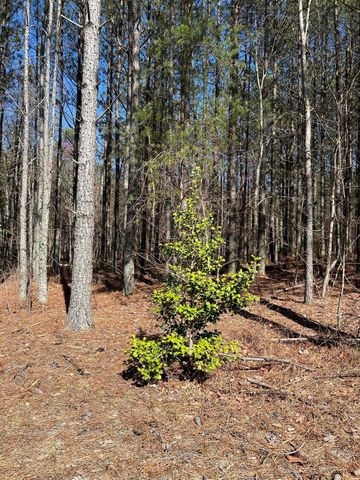 4210 Raulston Fls Road, Jasper, TN 37347
