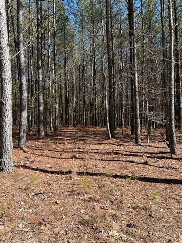 4210 Raulston Fls Road, Jasper, TN 37347
