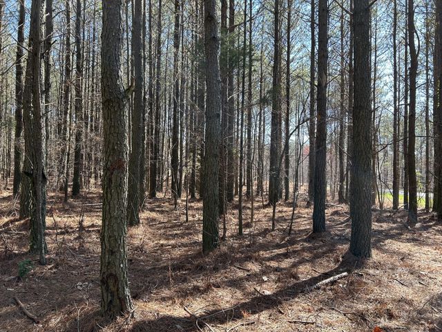 4210 Raulston Fls Road, Jasper, TN 37347
