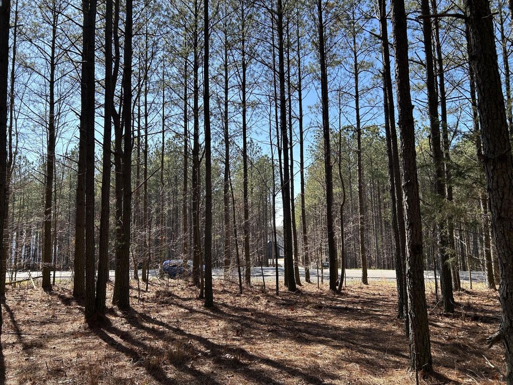 4210 Raulston Fls Road, Jasper, TN 37347