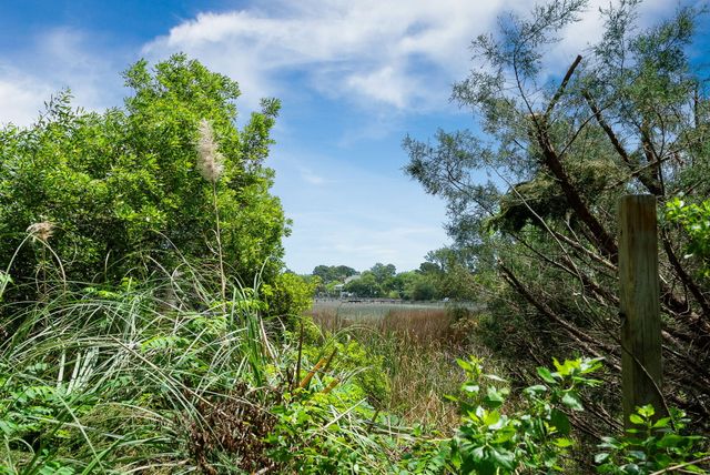 1471 Battery Brown Court, Charleston, SC 29412