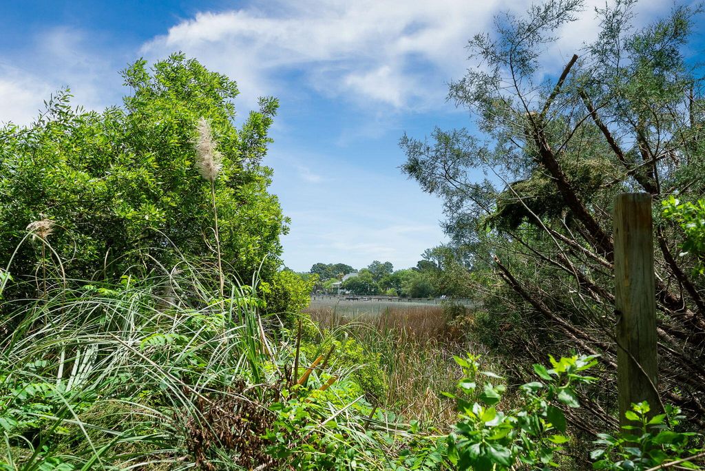 Image 48 of property listing at 1471 Battery Brown Court, Charleston, SC 29412