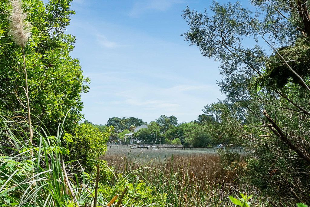 Image 49 of property listing at 1471 Battery Brown Court, Charleston, SC 29412