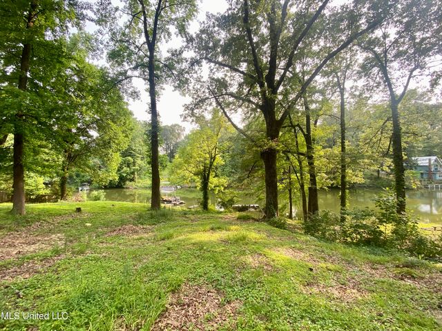 10883 Loch Venarcher Cove, Hernando, MS 38632