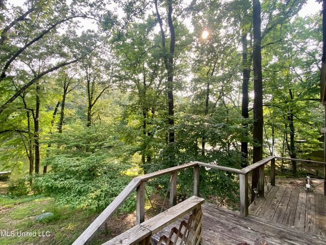 10883 Loch Venarcher Cove, Hernando, MS 38632