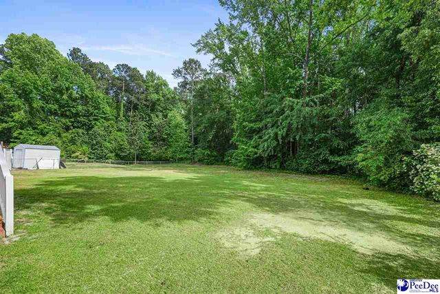 393 Shearin St, Darlington, SC 29532