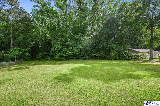 393 Shearin St, Darlington, SC 29532