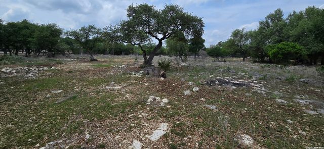 615 RITTIMANN RD, Spring Branch, TX 78070
