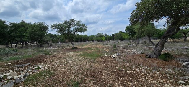 615 RITTIMANN RD, Spring Branch, TX 78070