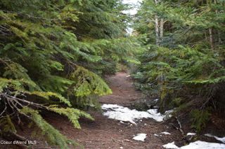 80 E Ridge Dr. (Tract 8), St. Maries, ID 83861