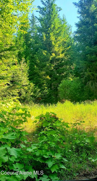 80 E Ridge Dr. (Tract 8), St. Maries, ID 83861 photo 12