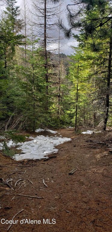 80 E Ridge Dr. (Tract 8), St. Maries, ID 83861 photo 16