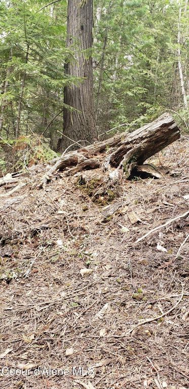 80 E Ridge Dr. (Tract 8), St. Maries, ID 83861 photo 18