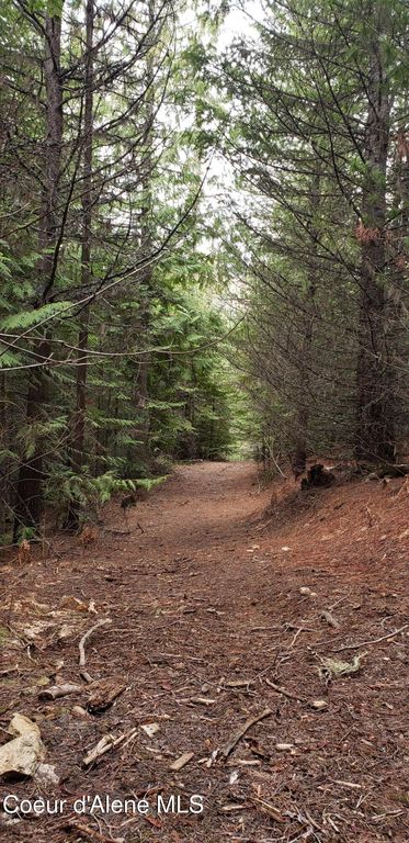 80 E Ridge Dr. (Tract 8), St. Maries, ID 83861 photo 19