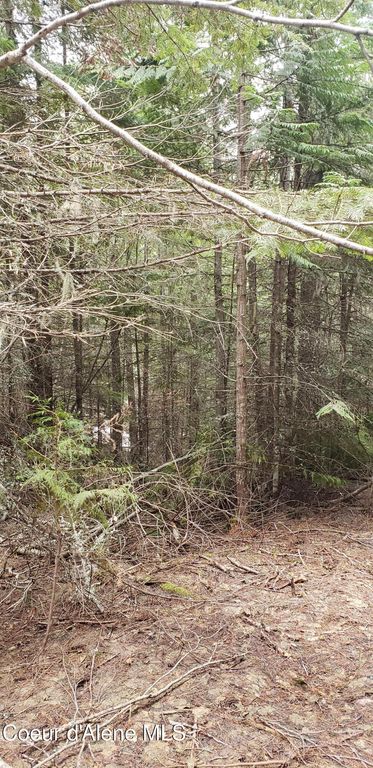 80 E Ridge Dr. (Tract 8), St. Maries, ID 83861 photo 20