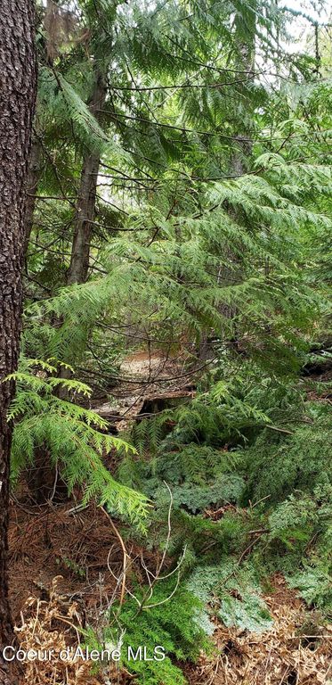 80 E Ridge Dr. (Tract 8), St. Maries, ID 83861 photo 24