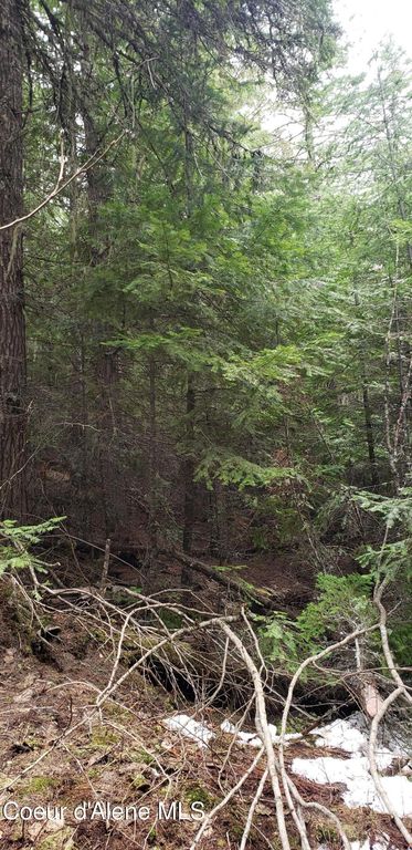 80 E Ridge Dr. (Tract 8), St. Maries, ID 83861 photo 25