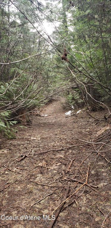 80 E Ridge Dr. (Tract 8), St. Maries, ID 83861 photo 26