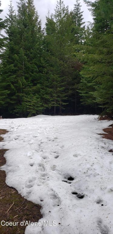 80 E Ridge Dr. (Tract 8), St. Maries, ID 83861 photo 28