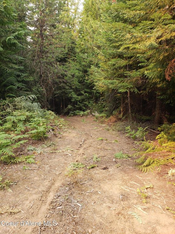 80 E Ridge Dr. (Tract 8), St. Maries, ID 83861 photo 3