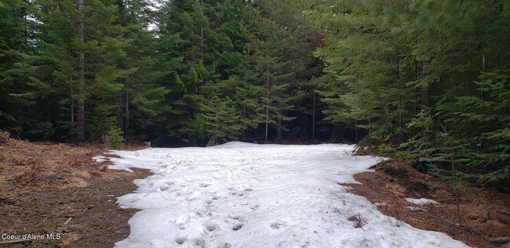 80 E Ridge Dr. (Tract 8), St. Maries, ID 83861 photo 32