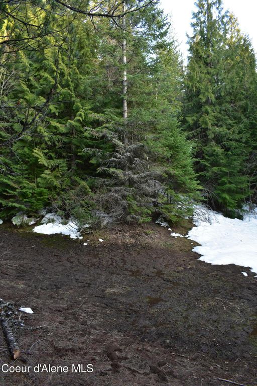 80 E Ridge Dr. (Tract 8), St. Maries, ID 83861 photo 35