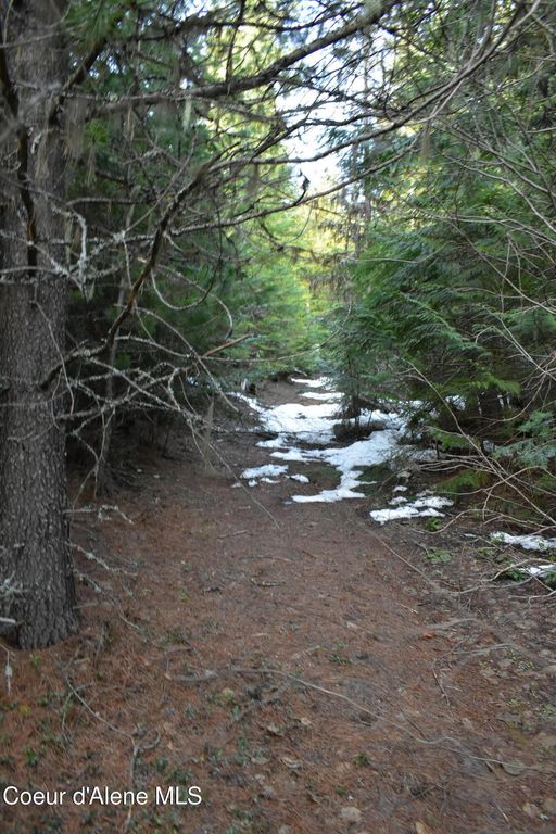 80 E Ridge Dr. (Tract 8), St. Maries, ID 83861 photo 36