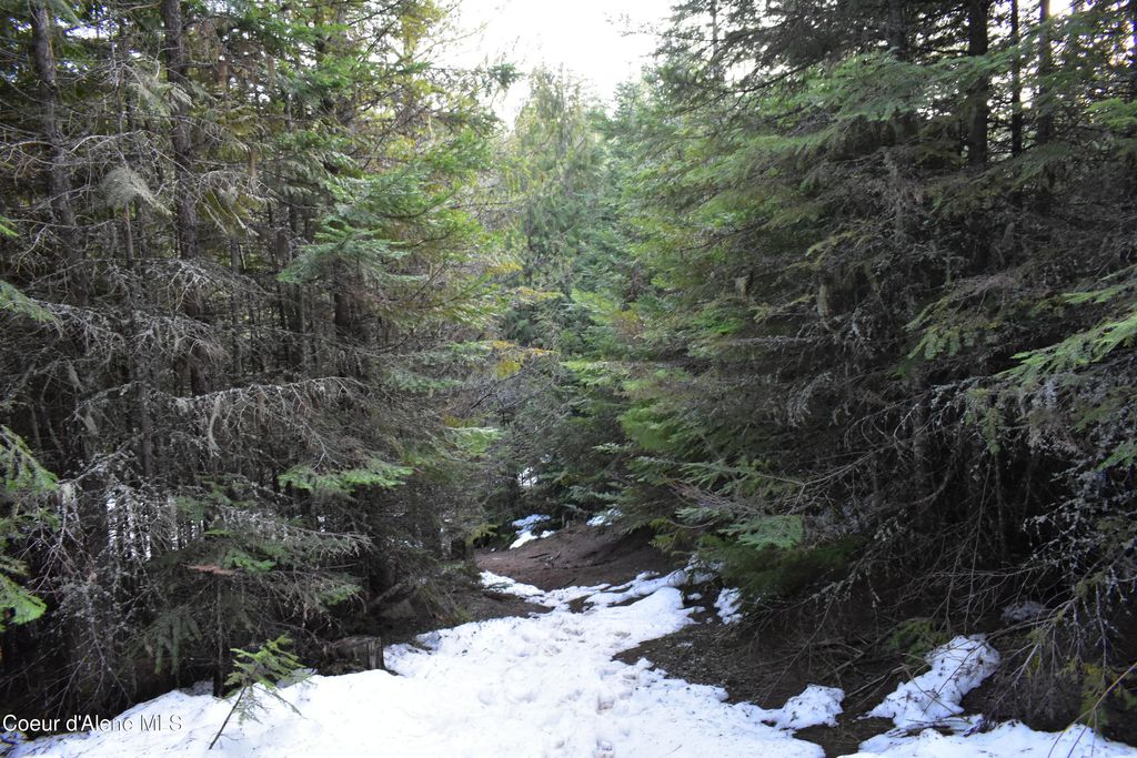 80 E Ridge Dr. (Tract 8), St. Maries, ID 83861 photo 37