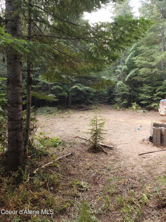 80 E Ridge Dr. (Tract 8), St. Maries, ID 83861 photo 6