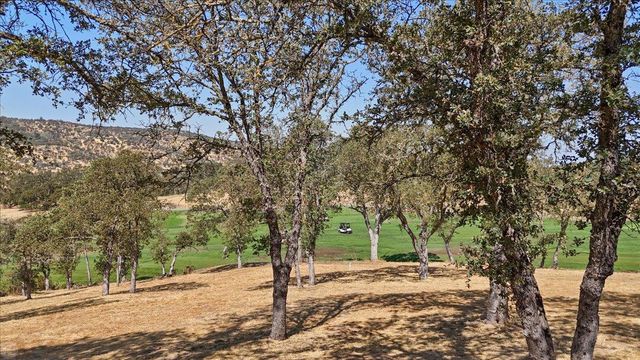 20 Mosswood Ct, Copperopolis, CA 95228