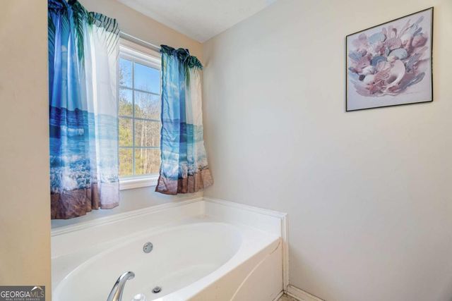 7270 Litany Court, Flowery Branch, GA 30542