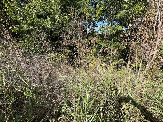 238 Holiday Island Drive, Holiday Island, AR 72631