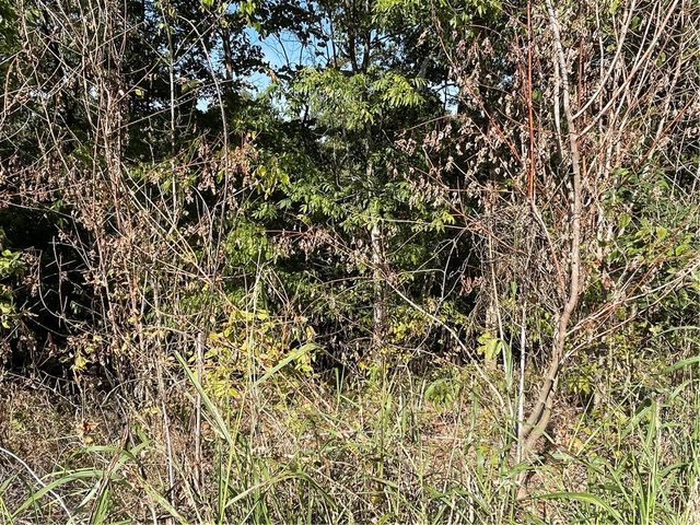 238 Holiday Island Drive, Holiday Island, AR 72631