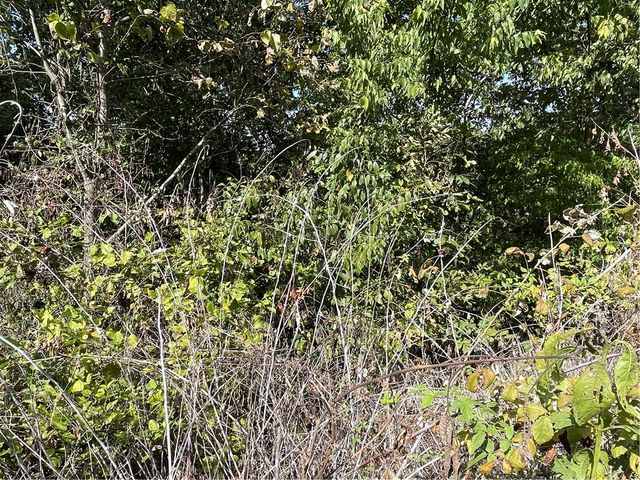 238 Holiday Island Drive, Holiday Island, AR 72631