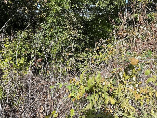 238 Holiday Island Drive, Holiday Island, AR 72631