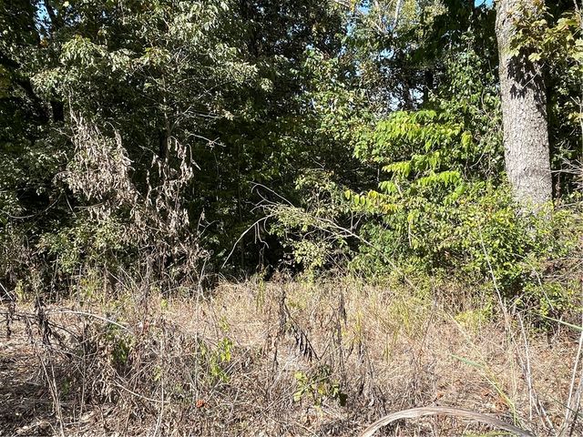 238 Holiday Island Drive, Holiday Island, AR 72631