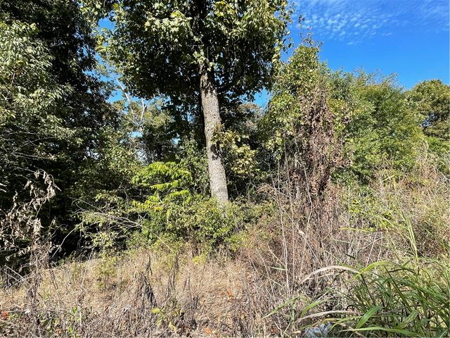 238 Holiday Island Drive, Holiday Island, AR 72631
