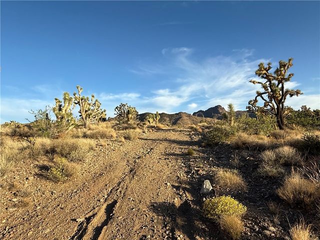 328 -05-475 N Peach Drive, Dolan Springs, AZ 86441